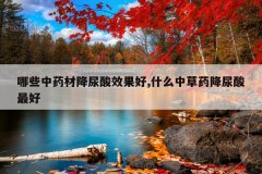 <b>��Щ��ҩ�Ľ�����Ч����,ʲô�в�ҩ���������</b>