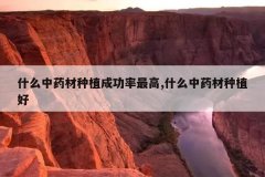 <b>ʲô��ҩ����ֲ�ɹ������,ʲô��ҩ����ֲ��</b>