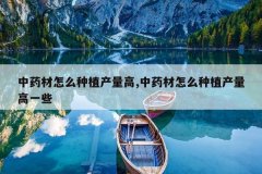 <b>��ҩ����ô��ֲ������,��ҩ����ô��ֲ������һЩ</b>