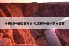 <b>��ҩ����ֲ�¸��ط���,������ֲ��ҩ���¸�</b>