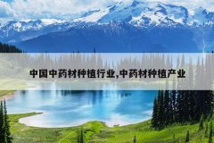 <b>�й���ҩ����ֲ��ҵ,��ҩ����ֲ��ҵ</b>