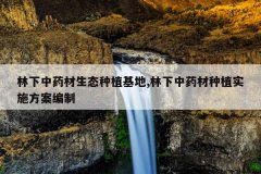 <b>������ҩ����̬��ֲ����,������ҩ����ֲʵʩ��������</b>
