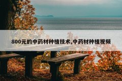 <b>800Ԫ����ҩ����ֲ����,��ҩ����ֲ��Ƶ</b>