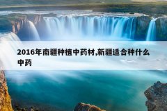 <b>2016���Ͻ���ֲ��ҩ��,�½��ʺ���ʲô��ҩ</b>