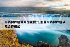 <b>��ҩ����ֲ���ü���ģʽ,������ҩ����ֲ�Լ�����ģʽ</b>