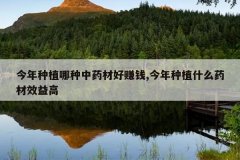<b>������ֲ������ҩ�ĺ�׬Ǯ,������ֲʲôҩ��Ч���</b>