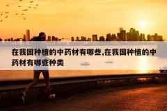 <b>���ҹ���ֲ����ҩ������Щ,���ҹ���ֲ����ҩ������Щ����</b>