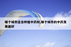 <b>�ĸ������ʺ���ֲ��ҩ��,�ĸ����е���ҩ��չ���</b>