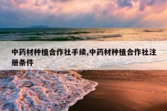 <b>��ҩ����ֲ����������,��ҩ����ֲ������ע������</b>