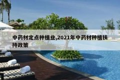 <b>��ҩ�Ķ�����ֲҵ,2021����ҩ����ֲ��������</b>
