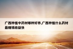 <b>������ֲ��ҩ�����ֺ���,������ֲʲôҩ����׬Ǯ�����</b>