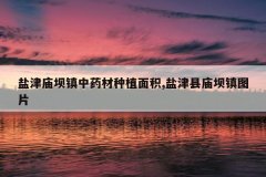 <b>�ν���������ҩ����ֲ���,�ν���������ͼƬ</b>