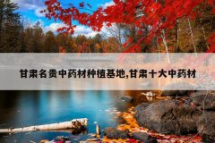 <b>����������ҩ����ֲ����,����ʮ����ҩ��</b>