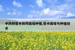 <b>��ҩ�Ĳ������������ֲ,������������ֲ����</b>