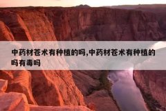 <b>��ҩ�Ĳ�������ֲ����,��ҩ�Ĳ�������ֲ�����ж���</b>