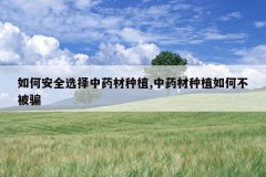 <b>��ΰ�ȫѡ����ҩ����ֲ,��ҩ����ֲ��β���ƭ</b>