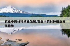 <b>ũҵ��ҩ����ֲҵ��չ,ũҵ��ҩ����ֲҵ��չ����</b>