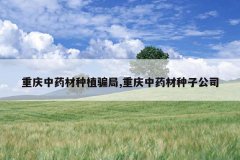 <b>������ҩ����ֲƭ��,������ҩ�����ӹ�˾</b>