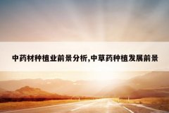 <b>��ҩ����ֲҵǰ������,�в�ҩ��ֲ��չǰ��</b>