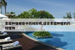 <b>��ͥ��ֲ��Щ��ҩ�ĺ���,�ʺϼ�ͥ��ֲ��ҩ��ֲ��</b>