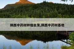 <b>������ҩ����ֲ����,������ҩ�Ļ���</b>