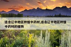 <b>�ʺ����е�����ֲ��ҩ��,�ʺ����е�����ֲ��ҩ�ĵ�ֲ��</b>