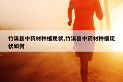 <b>��Ϫ����ҩ����ֲ��״,��Ϫ����ҩ����ֲ��״���</b>