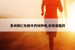 <b>����ͭ��������ҩ����ֲ,������ҽҩ</b>