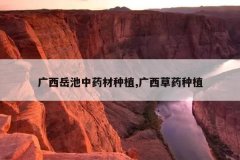 <b>����������ҩ����ֲ,������ҩ��ֲ</b>