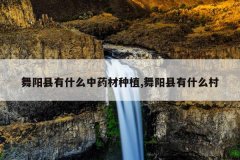<b>��������ʲô��ҩ����ֲ,��������ʲô��</b>