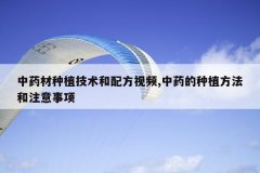 <b>��ҩ����ֲ�������䷽��Ƶ,��ҩ����ֲ������ע������</b>
