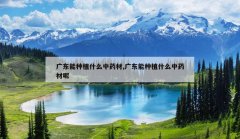 <b>�㶫����ֲʲô��ҩ��,�㶫����ֲʲô��ҩ����</b>