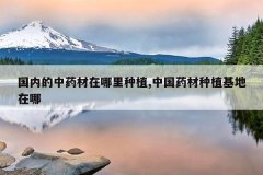 <b>���ڵ���ҩ����������ֲ,�й�ҩ����ֲ��������</b>