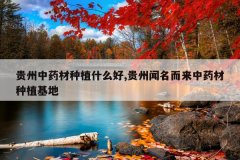 <b>������ҩ����ֲʲô��,��������������ҩ����ֲ����</b>