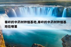 <b>�������ҩ����ֲ����,�������ҩ����ֲ����������</b>