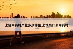 <b>������ҩ�Ĳ���������ֲ,���ĳ�ʲô��ҩ��</b>