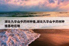 <b>�����Ż�ɽ��ҩ����ֲ,�����Ż�ɽ��ҩ����ֲ��������</b>