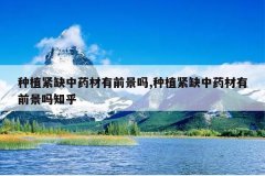 <b>��ֲ��ȱ��ҩ����ǰ����,��ֲ��ȱ��ҩ����ǰ����֪��</b>