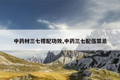 <b>��ҩ�����ߴ��书Ч,��ҩ�����������</b>