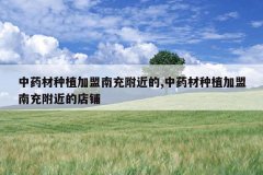 <b>��ҩ����ֲ�����ϳ丽����,��ҩ����ֲ�����ϳ丽���ĵ���</b>