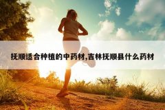 <b>��˳�ʺ���ֲ����ҩ��,���ָ�˳��ʲôҩ��</b>