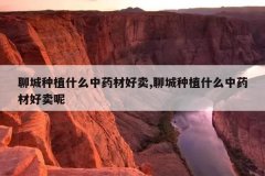 <b>�ĳ���ֲʲô��ҩ�ĺ���,�ĳ���ֲʲô��ҩ�ĺ�����</b>
