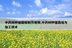 <b>��ҩ����ֲͼ��������Ƶ,��ҩ����ֲ������ӹ�����</b>