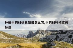 <b>��ֲ��ҩ����Ϣ����ôд,��ҩ����ֲ��������</b>