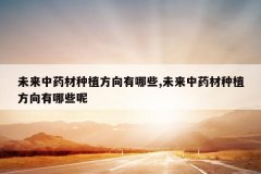 <b>δ����ҩ����ֲ��������Щ,δ����ҩ����ֲ��������Щ��</b>