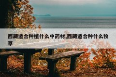 <b>�����ʺ���ֲʲô��ҩ��,�����ʺ���ʲô����</b>