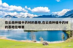 <b>��������ֲ��ҩ�ĵĻ���,��������ֲ��ҩ�ĵĻ���������</b>