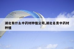 <b>������ʲô��ҩ����ֲ��˾,����������ҩ����ֲ</b>
