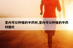 <b>���ڿ�����ֲ����ҩ��,���ڿ�����ֲ����ҩ��ͼƬ</b>