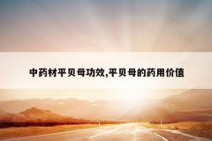 <b>��ҩ��ƽ��ĸ��Ч,ƽ��ĸ��ҩ�ü�ֵ</b>